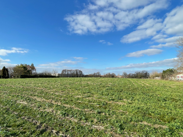 Offres de vente Terrain à batir Pomarez 40360