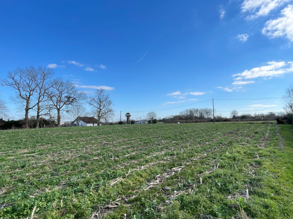 Offres de vente Terrain à batir Pomarez 40360